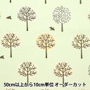 【数量5から】 生地 『北欧オックス ツリー グリーン AP25902-2D』 コスモテキスタイル