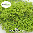 プリザーブド 『テラモス フレックス 50g スプリンググリーン』 エーピージャパン