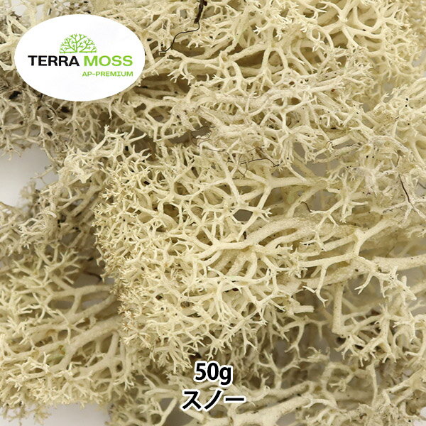 プリザーブド 『テラモス フレックス 50g スノー』 エーピージャパン