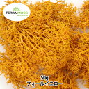 プリザーブド 『テラモス フレックス 50g フォールイエロー』 エーピージャパン