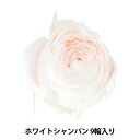 プリザーブドフラワー 『ローズ ココット ホワイトシャンパン 02730-021』(4)