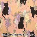 【数量5から】 生地 『シーチング 百華繚蘭 ネコ ピンク HR3410-B』 Quilt Gate キルトゲイト