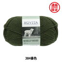 秋冬毛糸 『WOOLLY WOOD 384番色 パイン』 NOVITA ノヴィタ ノビータ