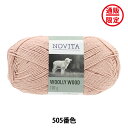 秋冬毛糸 『WOOLLY WOOD 505番色 トウワタ』 NOVITA ノヴィタ ノビータ