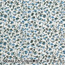 【数量5から】 生地 『リバティ・ファブリックス タナローン エレノアズオーチャード 3634295-24BU』 Liberty Japan リバティジャパン(3)