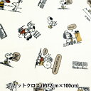 生地 『フランネル カットクロス ピーナッツ 約72cm×100cm オフホワイト G-3712C-1A』