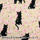 【数量5から】 生地 『シーチング 百華繚蘭 黒猫と桜 アイボリー HR3520-11A』 Quilt Gate キルトゲイト