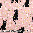 【数量5から】 生地 『シーチング 百華繚蘭 黒猫と桜 ピンク HR3520-11B』 Quilt Gate キルトゲイト