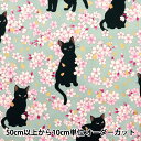 【数量5から】 生地 『シーチング 百華繚蘭 黒猫と桜 サックス HR3520-11C』 Quilt Gate キルトゲイト