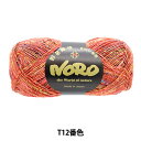 秋冬毛糸 『シルクガーデンソックソロ T12番色』 NORO 野呂英作