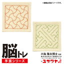 刺しゅうキット 『脳トレ手芸 刺し子キット 分銅つなぎ・紗矢型 YPS-4』