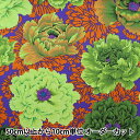 【数量5から】 生地 『USAコットン Kaffe Fassett ブロケード・ピオニー PJ062-MOSS』