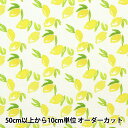 【数量5から】 生地 『USAコットン dearSTELLA LEMONS DCWR2131-WHIT』