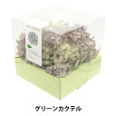 プリザーブドフラワー 『ソフトあじさいアナベル彩楽 グリーンカクテル 64333』