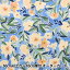 ڿ5  USAåȥ dearSTELLA GARDEN FLORAL DCJ2056-MULTI