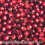 【数量5から】 生地 『USAコットン パックド・チェリーズ レッド FRUIT-CD1372』 207円