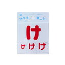 ワッペン 『フロッキーネーム (ひらがな) 赤色 け』 寺井
