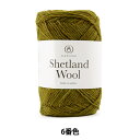 秋冬毛糸 『Shetland Wool (シェットランドウール) 6番色』 DARUMA ダルマ 横田