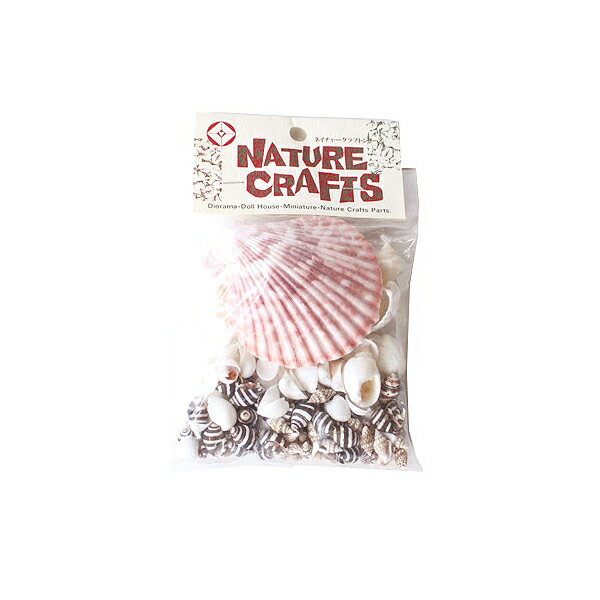 工作キット 『南風いろいろな貝がら M70工作キット 夏休み』 EYE STUDIO アイスタジオ