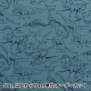 【数量5から】 生地 『オックス Tip-top 恐竜 ブルー DT10608-D』(3)
