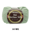 秋冬毛糸 『Ski Merino Silk(スキーメリノシルク) 2621番色』 SKIYARN スキーヤーン