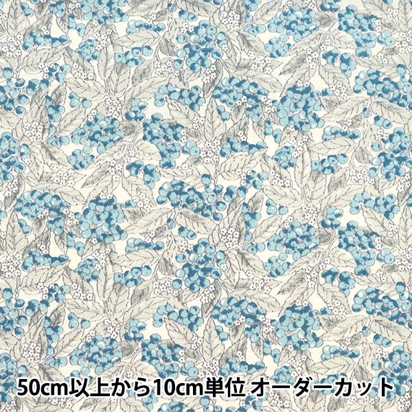 ݤϤΥ楶2ۤ㤨֡ڿ5  إ إ֥꡼Х֡ ֥롼 NO-HEBA-C١פβǤʤ74ߤˤʤޤ