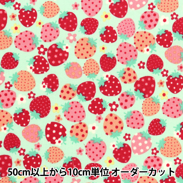 【数量5から】 生地 『松山敦子コレクション シャーティング いちご ミント×レッド AT829719-D』 YUWA 有輪商店