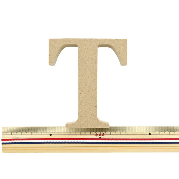 切り文字 『アルファベットレター T EE1-5069』