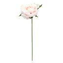 造花 シルクフラワー 『ピオニーピック ホワイトピンク A-73397-001P』 asca アスカ商会