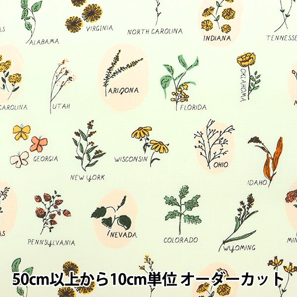 Cotton （Patterned Cloth） - 【数量5から】 生地 『USAコットン ロードサイド・ワイルドフラワーズ TOR-13862』