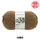 秋冬毛糸 『NALLE 68番色』 NOVITA ノヴィタ ノビータ