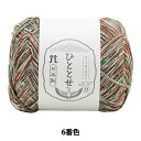 春夏毛糸 『ひととせ 6番色』 Hamanaka ハマナカ