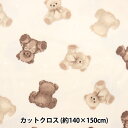 生地 『フリースプリント トレンド柄 カットクロス 約140cm×150cm C-5585-6』