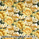 【数量5から】 生地 『LIBERTY リバティプリント タナローン プレイリー 3631128-A』 Liberty Japan リバティジャパン(3)