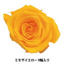 プリザーブドフラワー 『ローズ いずみ ミモザイエロー 9輪入り 03480-521』(4)