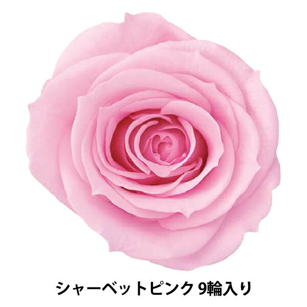 プリザーブドフラワー 『ローズ いずみ シャーベットピンク 9輪入り 03480-102』