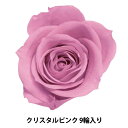 プリザーブドフラワー 『ローズ いずみ クリスタルピンク 9輪入り 03480-111』