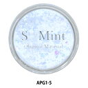 レジン材料 『アクリルパウダー グリッター シリーズ1 5番色 APG1-5』 Smint エスミント
