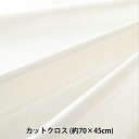 生地 『コスチュームエナメル カットクロス 約70×45cm ホワイト』(3)