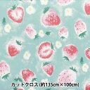 生地 『すごく水をはじく抗菌防臭超撥水ポリエステル カットクロス 約135cm×100cm 水彩イチゴ ミント C-HP-SC-SU-MT』
