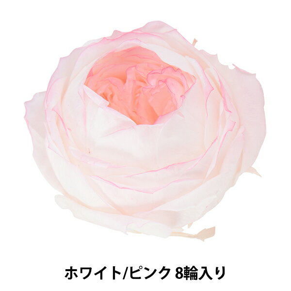 プリザーブドフラワー 『ローズ ピオニー はないろ ホワイト/ピンク 02763-015』