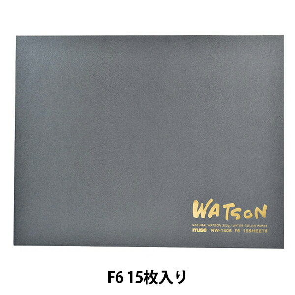 画用紙 『ワトソンブロック 300g F6 NW