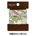 バイアステープ 『リバティ・ファブリックス バイアステープ 20mm幅 2m巻 TAPE-SSN-DE』