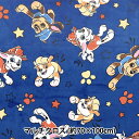 生地 『キャラクター 裏ボア フランネル パウパトロール ブルー C-3093-PA』
