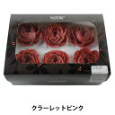 プリザーブドフラワー 『ローズ ララ クラーレットピンク 02780-143』