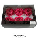 プリザーブドフラワー 『ローズ ララ フランボワーズ 02780-211』(4)