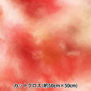 生地 『RIEKA グラデーションパレット 約50×50cm 1170-026』