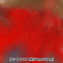 生地 『RIEKA グラデーションパレット 約50×50cm 1174-028』