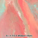 生地 『RIEKA グラデーションパレット 約50×50cm 1198-040』