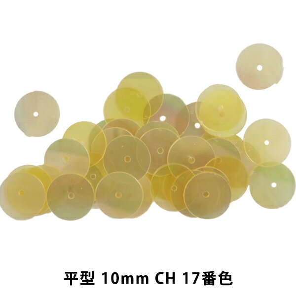 スパンコール 『平型 10mm CH 17番色』